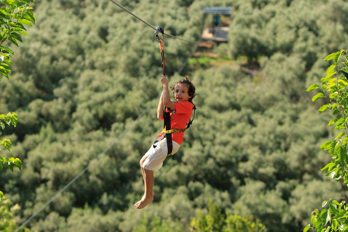 Zipline