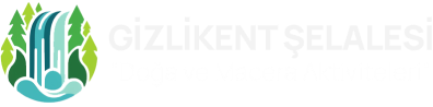 Survivor Seyahat Acentesi, Kuzenler Seyahat Ltd. Şti. bünyesinde faaliyet gösteren, doğa ve deneyim odaklı yasal bir acentedir.