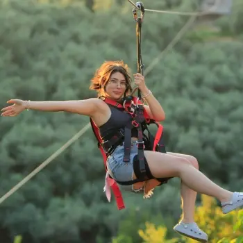 Zipline